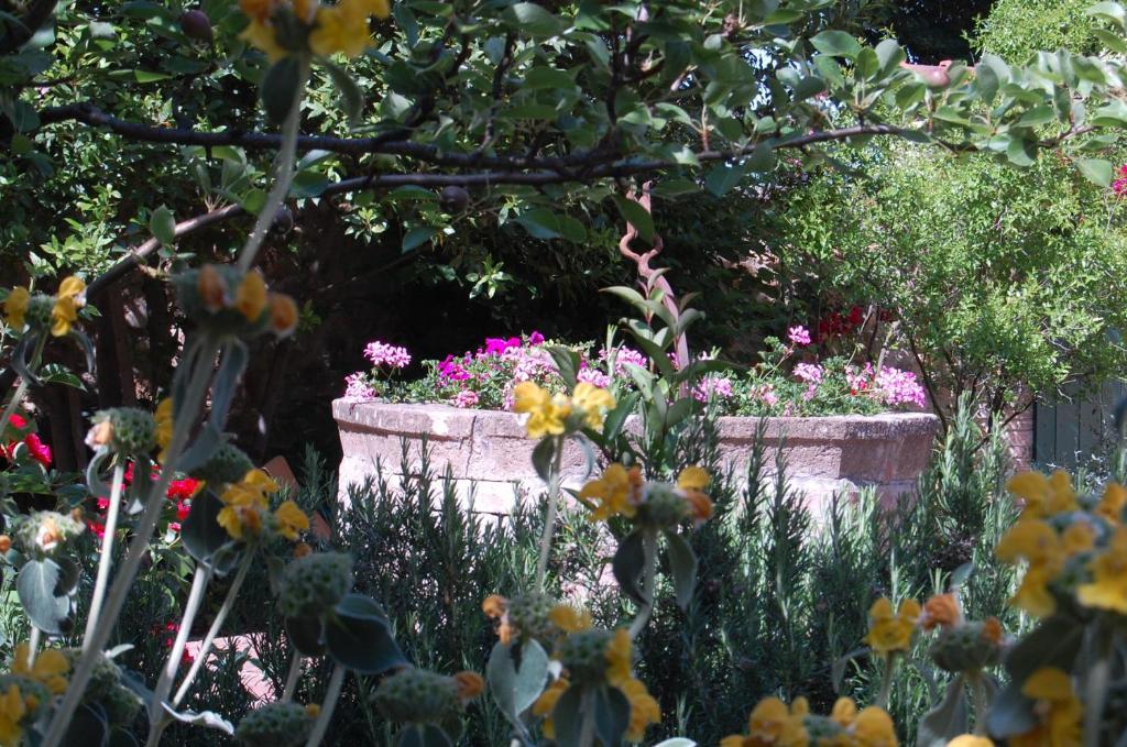 Il Giardino Segreto Otel Pienza Dış mekan fotoğraf